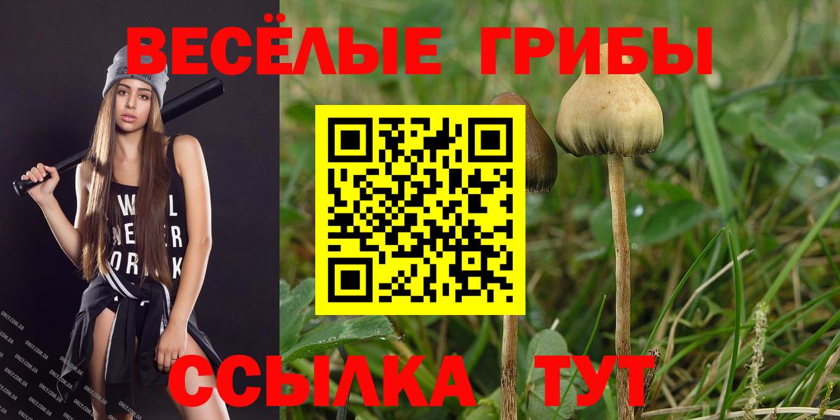 Галлюциногенные грибы прущие грибы Ростов Великий